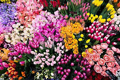 《全面战争：战锤3》2月15日预载 文件大小约120GB